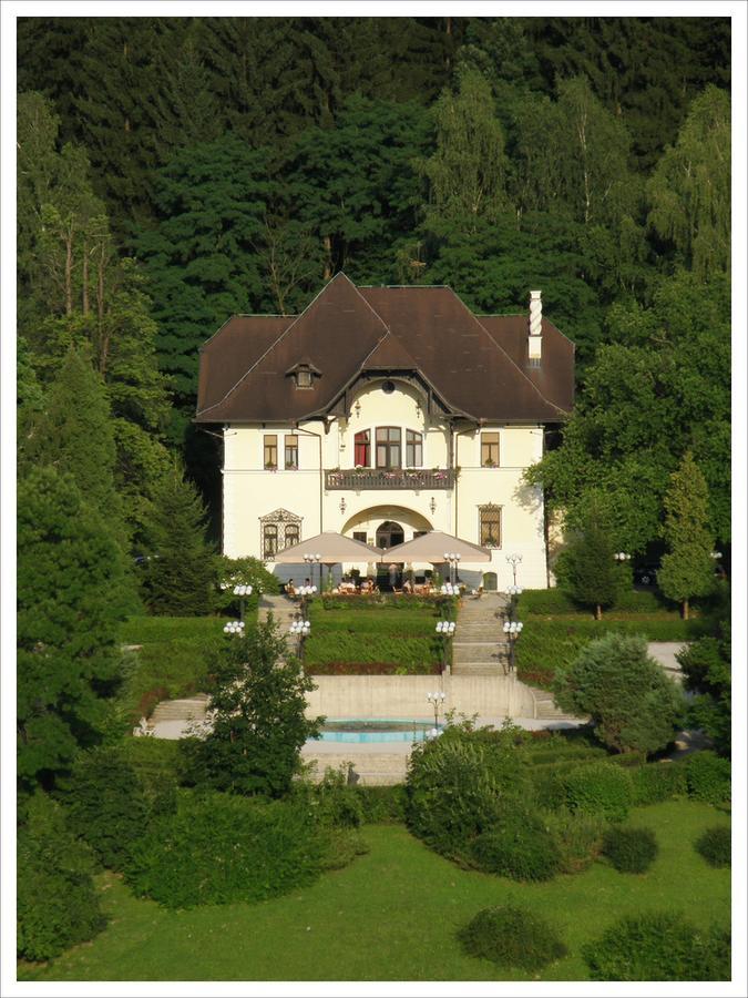 Vila Herberstein Velenje Exterior photo